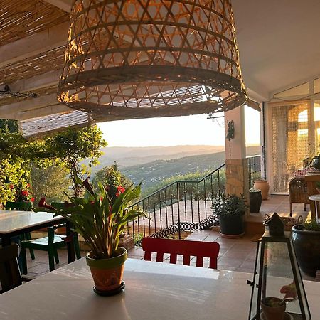 El Nispero Dulce Bed & Breakfast Alcaucín Екстериор снимка