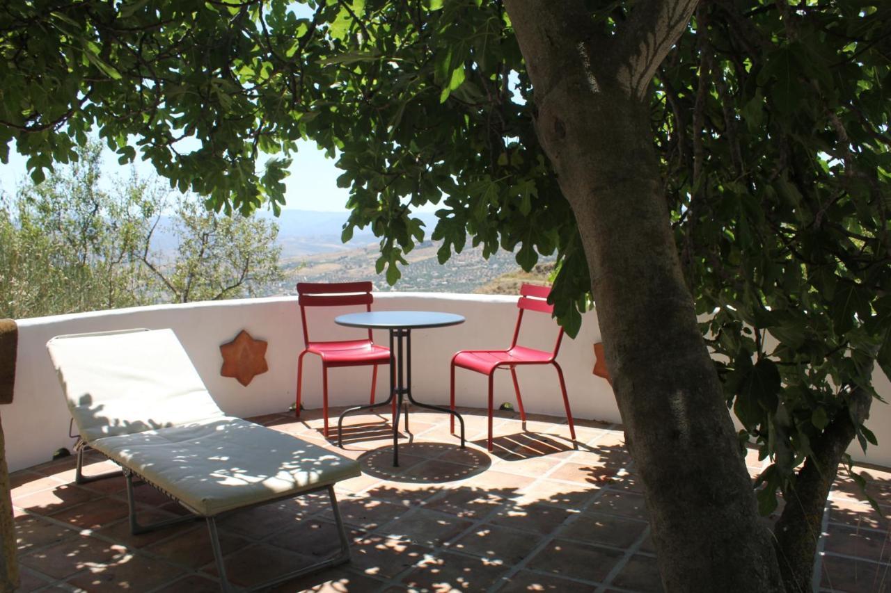 El Nispero Dulce Bed & Breakfast Alcaucín Екстериор снимка