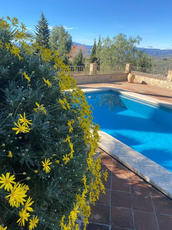 El Nispero Dulce Bed & Breakfast Alcaucín Екстериор снимка