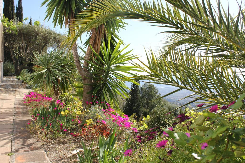El Nispero Dulce Bed & Breakfast Alcaucín Екстериор снимка