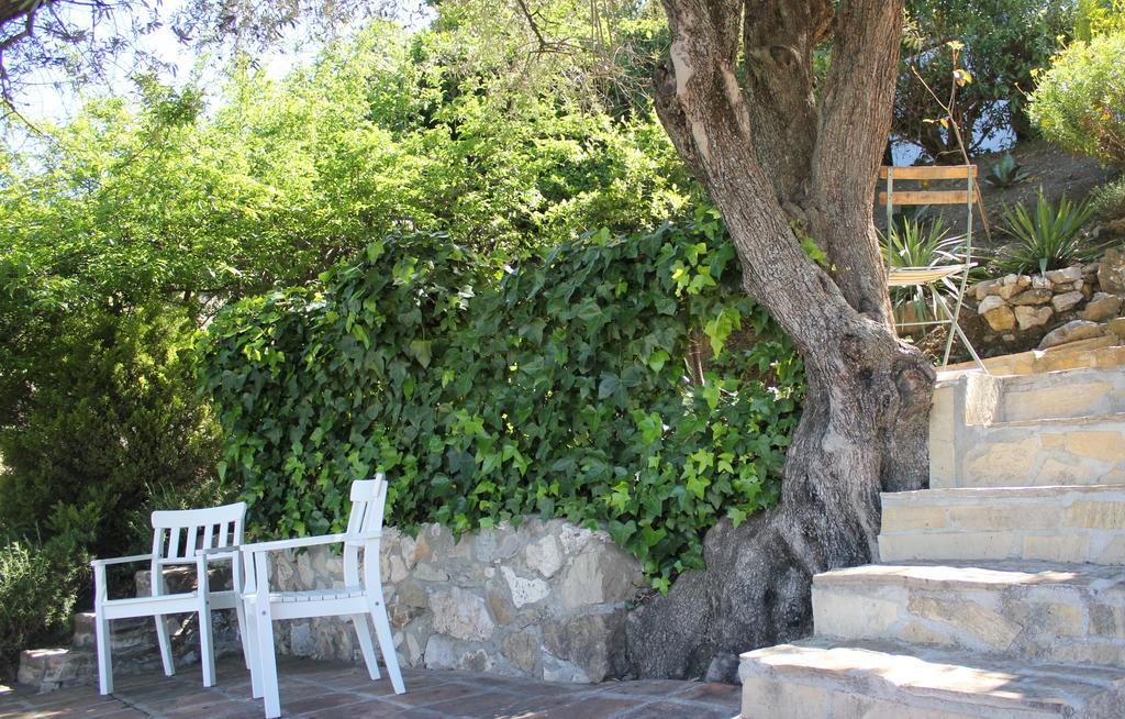 El Nispero Dulce Bed & Breakfast Alcaucín Екстериор снимка
